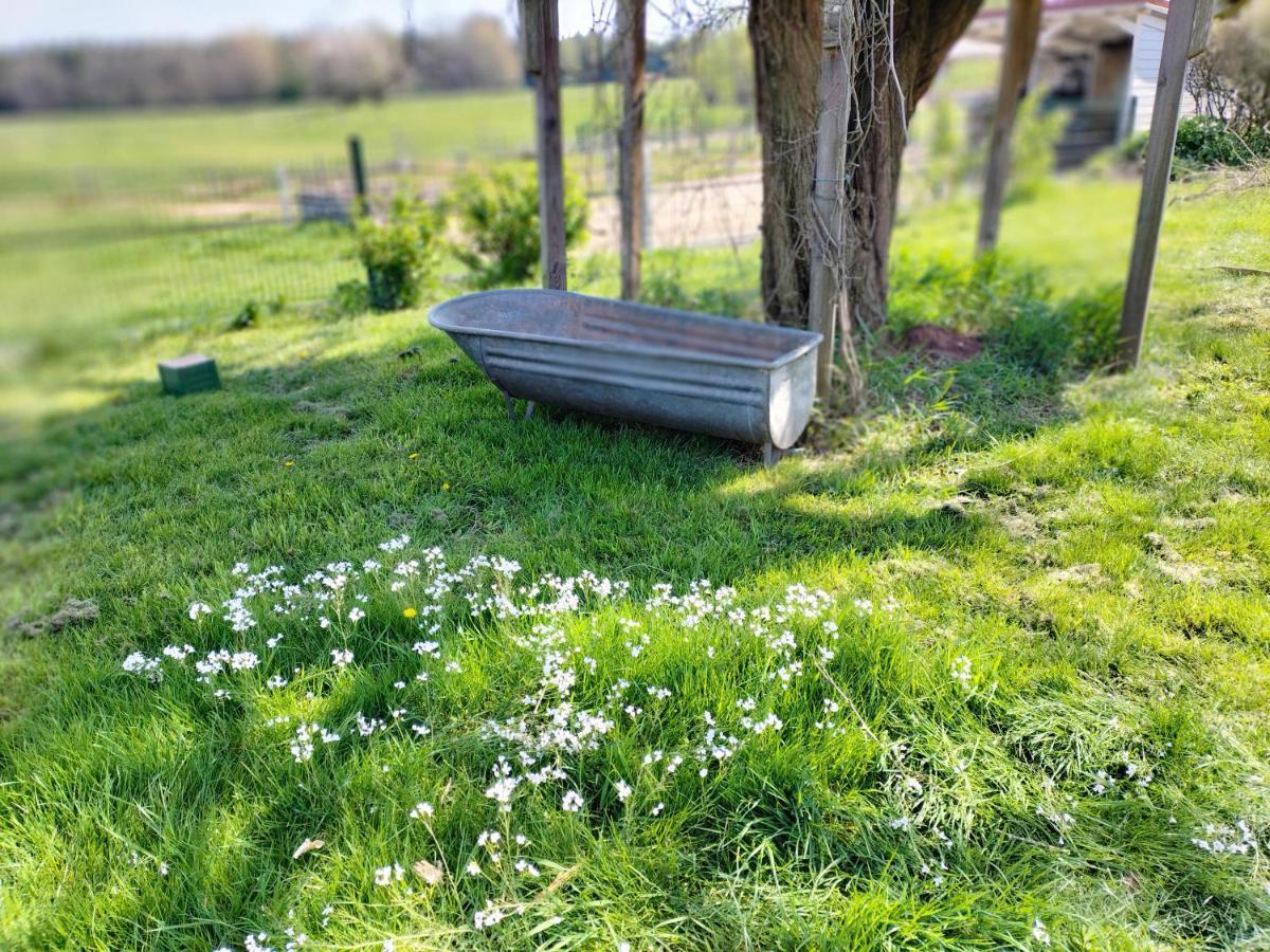 Étival-Clairefontaine Les Hortensias La Souris Des Champs מראה חיצוני תמונה